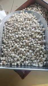 Graines de lotus séchées-Un ajout savoureux aux soupes, thés et desserts-BLUELOTUS - Product Image 4