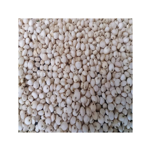 เมล็ดข้าวฟ่างออร์แกนิคคุณภาพสูงสุด ขายในราคาขายส่งที่ถูกที่สุด - Product Image 6