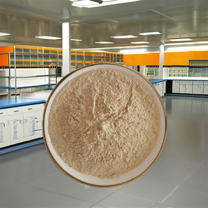 Poudre d'enzyme protéase alcaline 7903232 Fabriquée au Gujarat, Inde - Product Image 2