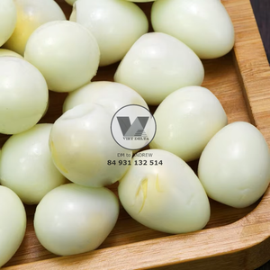 Huevos de Codorniz Premium - Paquete de Huevos de Codorniz Listos para Usar - Producto de Huevo Conveniente - Preparación de Huevos de Codorniz - Product Image 2
