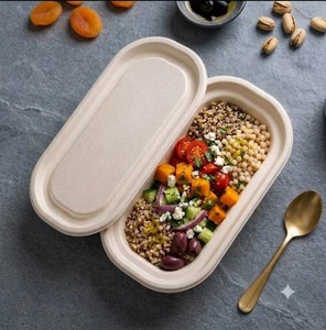 Conteneur alimentaire ovale en bagasse de 500 ml avec couvercle, une solution écologique, entièrement compostable et jetable, idéale pour les plats à emporter. - Product Image 4