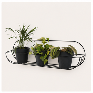 Support mural moderne en métal pour plantes, support minimaliste ovale en fer pour pot de fleurs, noir, pour plantes suspendues, pour intérieur. - Product Image 2