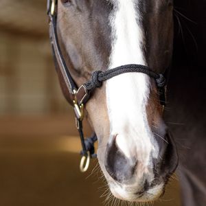 Harnais pour cheval en cuir fantaisie fait main, design perlé coloré, style western réglable, durable, confortable, quincaillerie en laiton ADIBA - Product Image 3