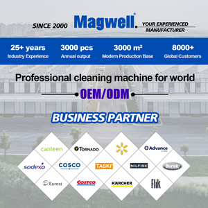 Offerta Speciale: Asta Scorrevole da 12 Pollici per Macchina Pulizia Tappeti - Product Image 4