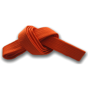 Cinturón de BJJ para Adultos, Jóvenes, Unisex, Ropa de Artes Marciales, Cinturón de BJJ de Primera Calidad - Product Image 1