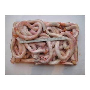 Pénis de bœuf disponible, nettoyé, séché et congelé pour l'alimentation des animaux et humaine. - Product Image 6