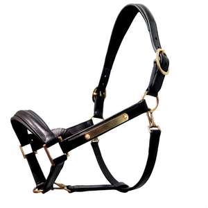 Cabestro de Cuero Acolchado Premium FAB International con Herrajes de Latón Sólido, Ajustable para Entrenamiento, Color y Tamaño Personalizables - Product Image 1