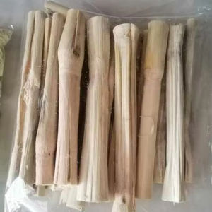 Palitos de Caña de Azúcar Seca Natural Ecológicos para Mascotas Pequeñas, Limpieza Dental y Alivio del Estrés, Segmentos de 12-22 cm, Exportador ANGLE - Product Image 1