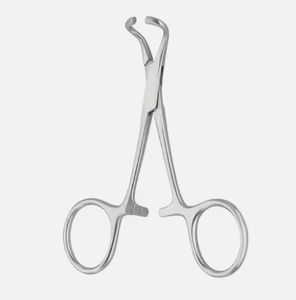 Pinzas para Toallas ARISTON INTERNATIONAL Backhaus, Acero Inoxidable, Uso Dental Profesional, Manual, Tamaño y Color Personalizables, Precio Bajo - Product Image 2