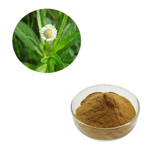 Poudre de Bhringraj 100% pure, poudre ayurvédique à base de plantes pour les soins des cheveux, renforcement des cheveux, soutien des racines et nutrition du cuir chevelu - Product Image 1