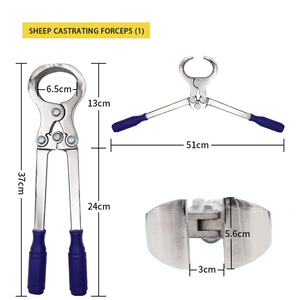 Castrateur Burdizzo sans saignement pour animaux de grande taille (moutons, chèvres, bovins, porcs) – Kit d'outils réutilisables et durables DENTRIC - Product Image 4