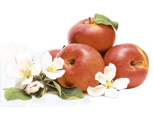 Colección de azulejos de cerámica de lujo de 300x450 MM Aspecto de mármol de alto contraste con veteado de alto contraste Excelente acabado - Product Image 5