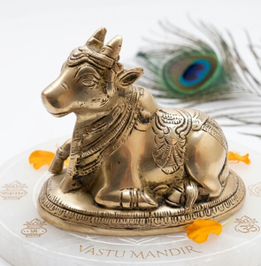 Unique brass tortoise figurine supporting a beautifully detailed <b>leaf</b>-shaped dish. Available at wholesale price. - Product Image 5