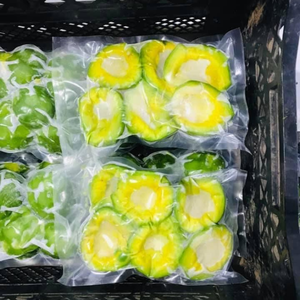 Avocat en pulpe surgelé IQF du Vietnam pour les bars professionnels et la création de mocktails tropicaux uniques 99 Gold Data - Product Image 1