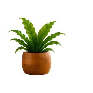 Lot de 2 pots de fleurs ronds en bois massif style moderne, couleur noyer brun, pour table, intérieur/extérieur, décoration maison - Product Image 4