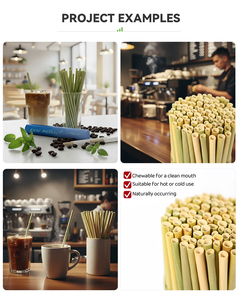 Pajitas de Hierba Ecológicas DR - Pajitas Desechables Compostables de Primera Calidad de 20 cm para Campamentos y Cafeterías (Certificadas Sin Empaque) - Product Image 3