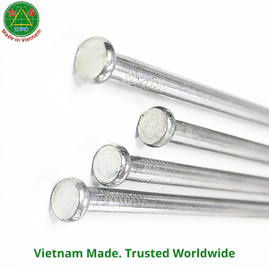 Clous en fer galvanisé de qualité industrielle de 11,6 pouces avec tige lisse, tête plate et pointe diamantée pour meubles et construction, Vietnam - Product Image 6