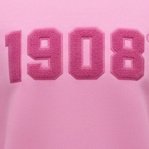 1908 <b>Pink</b> <b>Sweatshirt</b> Unisex Crew Neck Pullover Long Sleeve Casual Fleece Top Sorority Inspired College Streetwear Everyday - Product Image 5