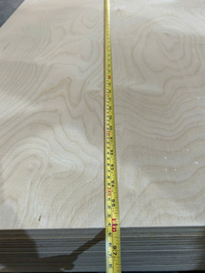 Contrachapado de chapa de abedul 1220 x 2440/ 1250 x 2500, grado D/DD, certificado E0 E1 CARB P2 para fabricación de muebles y paneles interiores - Product Image 1