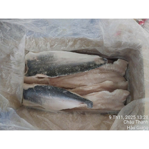 Filete de Pangasius Congelado IQF Premium, 10 kg/Caja, a Granel, de Vietnam, con Piel, Tamaños Personalizados y Glaseado Disponible - Product Image 1