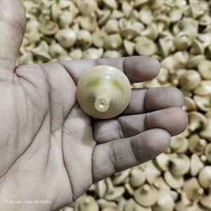 Trompo de madera pequeño hecho a mano, juguete tradicional para niños y coleccionistas a precio económico - Product Image 1