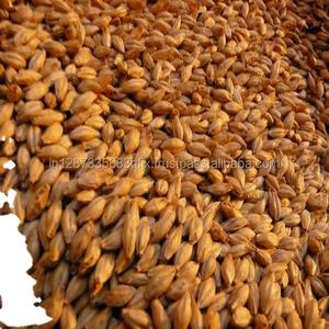 Orge de qualité supérieure pour l'alimentation animale en vrac disponible à la vente - Product Image 6