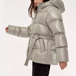 Chaqueta acolchada plateada brillante con capucha para mujer, abrigo grueso de invierno con cremallera - Product Image 4