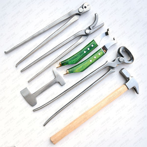 Bán Buôn Chất Lượng Hàng Đầu Chất Liệu Ngựa Farier Hoof <span class=keywords><strong>Kit</strong></span> Hoof Dao Đệm Giày Puller Công Cụ 7 Miếng Công Cụ <span class=keywords><strong>Kit</strong></span> Với Cặp - Product Image 6