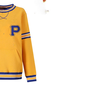เสื้อสเวตเชิ้ต Sigma Gamma Rho Chenille ลายตัวอักษรกรีกสำหรับผู้หญิง สีทอง-น้ำเงิน ลายทาง มีกระเป๋า คอกลม เสื้อพูลโอเวอร์สำหรับชมรมนักศึกษา - Product Image 5
