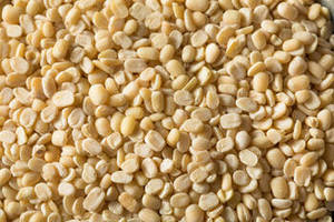 Harvest frais d'Urad Dal d'Inde, légumineuses de qualité supérieure, marque FitTree International, 25 kg, durée de conservation de 24 mois, pour la vente en gros internationale - Product Image 2