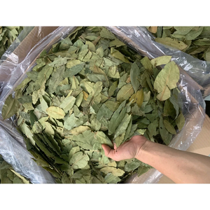 Hoja de laurel seca barata al por mayor de Vietnam |   Proveedor Mayorista de Hojas de Laurel Naturales para Exportación - Sra. Grace - Product Image 6