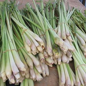 Hierba de limón congelada prepicada IQF entera y en rodajas de hierba de limón verduras congeladas recién para sopa de Vietnam - Product Image 6