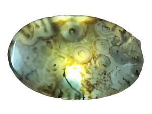 Cabujón de piedra preciosa natural suelta con patrón de árbol marrón para anillo y colgante - Product Image 4