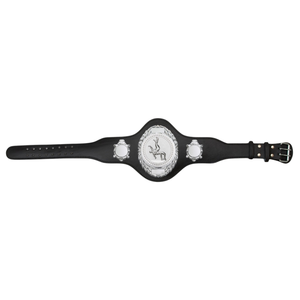 เข็มขัดแชมป์เปล่าแบบปรับแต่งได้ คุณภาพสูง เข็มขัดแชมป์มวยปล้ำ รุ่นสะสม เข็มขัดกีฬา - Product Image 1