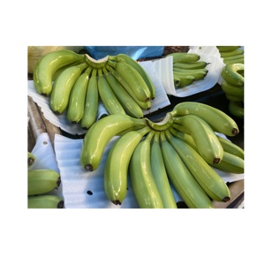 Asia Farm Factory Agriculture <b>Fresh</b> Green Cavendish Bananas 13kg Carton with Custom Export Label for Worldwide - Product Image 6