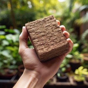 Bloque de Fibra de Coco de Alta Calidad, Comprimido, Rectangular, para Plantación, Uso en Macetas, Medio de Cultivo Natural y Orgánico - Product Image 1