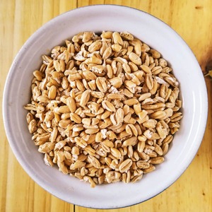 Grano de Trigo 100% Natural Premium Entregado a Importadores de Alimentos, Procesamiento Limpio, Envasado al Vacío y Servicio de Exportación Confiable - Product Image 5