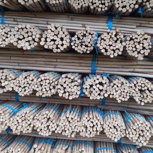 Bâtons en rotin de différentes tailles à vendre, bâtons en manau polis et naturels de haute qualité - Product Image 6