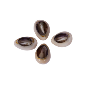 Nova Chegada: Gema Oval Multicolorida de Coríndon para Mulheres – Linda Forma Oval Múltipla para Fabricação de Joias – Preço de Atacado a Granel - Product Image 2