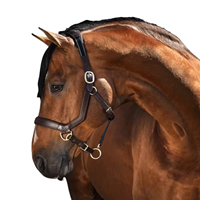 Harnais classique en cuir anglais pour cheval |   Accessoires en laiton massif, taille réglable, confortables, pour l'équitation, l'entraînement en écurie