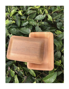 Assiettes plates rectangulaires en bois, solides, minimalistes, écologiques, pour un usage quotidien - Product Image 1