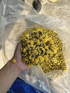 Flores de Manzanilla Secas de Fábrica en Vietnam, Té Herbal Natural, Fabricante y Proveedor al por Mayor, Calidad de Exportación - Product Image 4