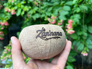 Tazones de Cáscara de Coco Naturales, Lavables y Ecológicos, para Café Affogato, Uso en el Hogar, Hoteles y Restaurantes, Grabado Personalizado, Venta al Por Mayor - Product Image 4