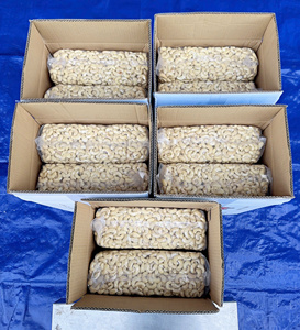 Offre Spéciale 2026 Noix de cajou brutes LWP Qualité Supérieure Cassées Prêtes à l'Expédition Comestibles Séchées du Vietnam - Product Image 1