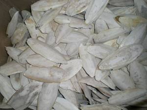 ปลาหมึกอบแห้งสีขาว - Product Image 3