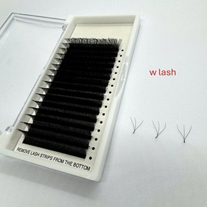 ซัพพลายเออร์ขนตาปลอม PBT คุณภาพสูง ทำมือ 3D 4D 5D แบบ C/CC/D/DD/M/L Curl ความยาว 7-25 มม. นุ่มเป็นธรรมชาติ - Product Image 2