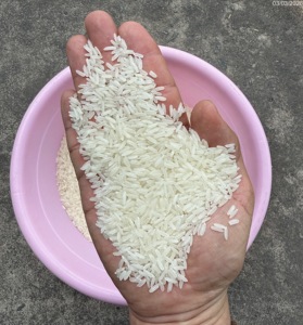 ข้าวหอมมะลิเวียดนามขายดีที่สุด ข้าวขาวเมล็ดยาว 5% ข้าวหักง่าย กลิ่นหอมธรรมชาติ โรงงานผลิตโดยตรง ผู้จัดจำหน่ายส่งออกจำนวนมาก/ ANNA DO - Product Image 3