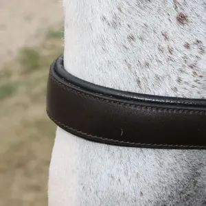 Cabestro de Cuero para Caballo de Polo, Tradicional Argentino, Cosido a Mano, con Hilo Encerado y Herrajes de Latón Resistente Ajustables, de Alta Calidad - Product Image 6