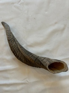 Corne de mouton brute de 20 pouces, toucher naturel, forme irrégulière, corne naturelle pour la sculpture, l'artisanat et les fournitures de bricolage - Product Image 4