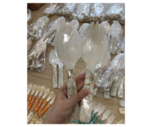 Cuillère en coquillage naturel de qualité supérieure, fabriquée au Vietnam - Cuillère en coquillage pour la table et la décoration intérieure - Product Image 5